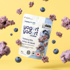 Blueberry Bliss - Yogurt Cluster